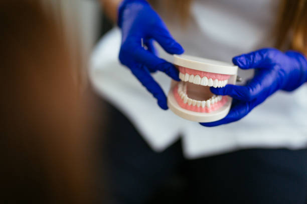 Temple Terrace, FL  Holistic Dental Services Company