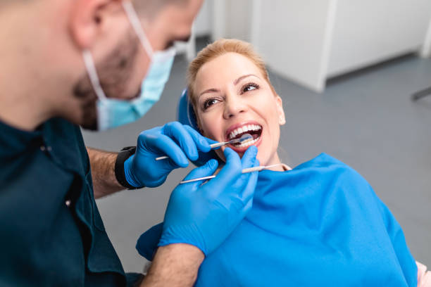Best Dental X-Rays and Imaging  in Temple Terrace, FL