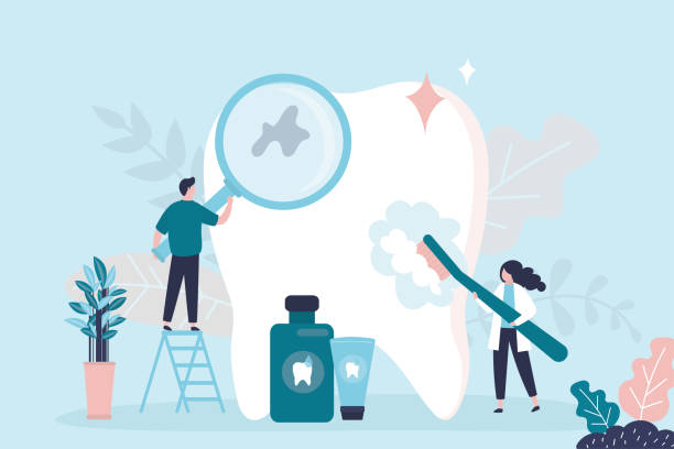 Best Dental Exams and Cleanings  in Temple Terrace, FL